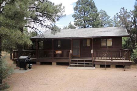 City Slicker Cabin