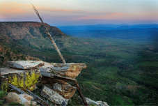 Mogollon Rim