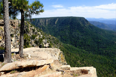 Mogollon Rim