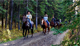 Mogollon Rim Horseback Riding