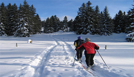 Mogollon Rim Skiing